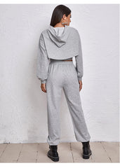 Hudson Brushed Cozy Pocketed Joggers - Heather Grey