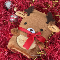Santa Claus Blanket Nap in Winter